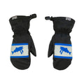 Salmon Arms Classic Mitt - Hi-Vis Black/Blue