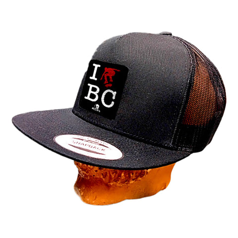 Skull Skates Snapback I Skate BC Mesh Cap - Black