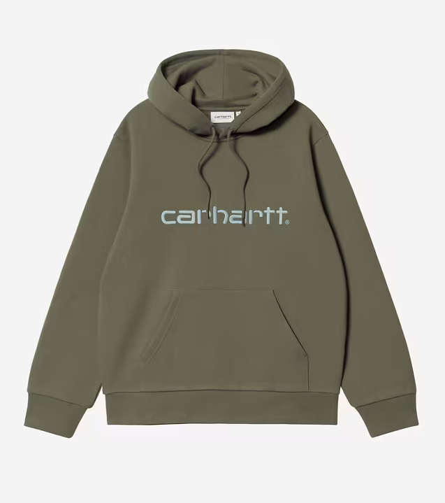 Carhartt WIP Hooded Sweater -Leaf/Tourmaline