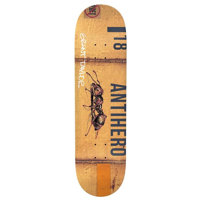 Anti Hero Taylor Intermodal Deck