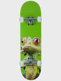 Push Lizard Big FP Complete