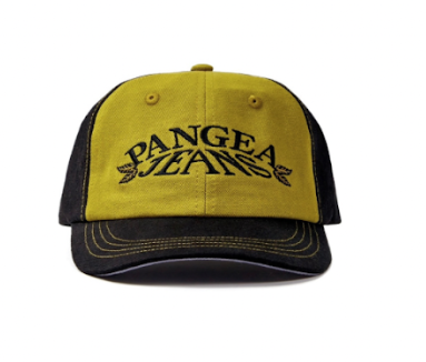 Pangea Leaf Logo Cap - Black/Olive