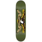 Anti Hero Team Classic Eagle Deck